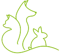 Logo grafico del Neurologo Veterinario Napoli - Mater Dei Vet